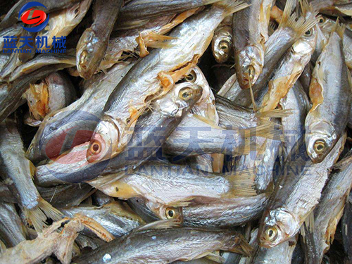 江蘇魚干烘干機(jī)用戶現(xiàn)場(chǎng)